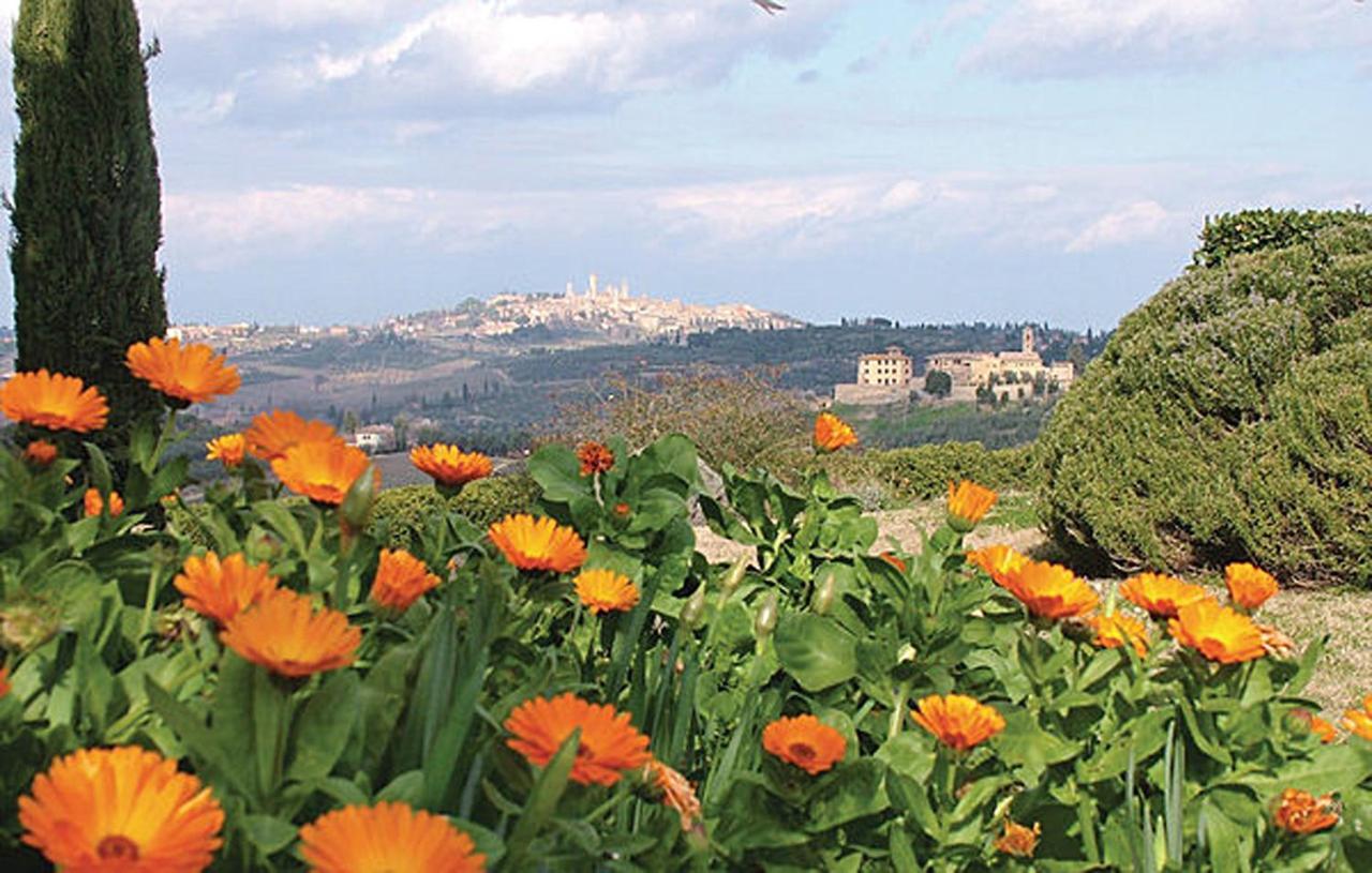 Agriturismo Fattoria Il Piano - Appartamento Stalla - San Gimignano Luaran gambar